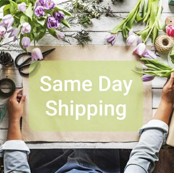 Smoke Free Pet Free Home - Picture 3 of 3